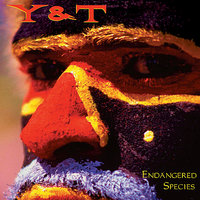 Sail on By - Y&T
