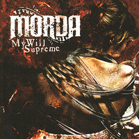 Law Defined - Morda