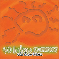 5 Lb Bag - 40 Below Summer