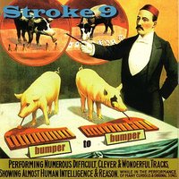 Bingo - Stroke 9