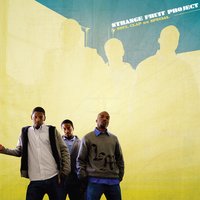 Strange Fruit Project