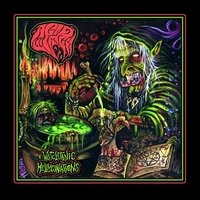 October 31st - Acid Witch