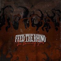 Tides - Feed the Rhino