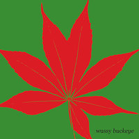 Magic Words - Wussy