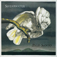 White Waves - Shearwater