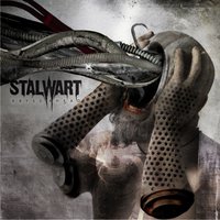 The warning - Stalwart
