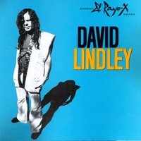 Petit Fleur - David Lindley