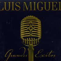 Si Te Perdiera - Luis Miguel