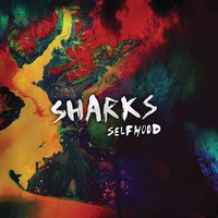 My Wild One - Sharks