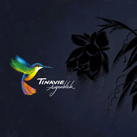 Hate - Tinavie