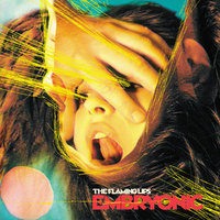 Silver Trembling Hands - The Flaming Lips