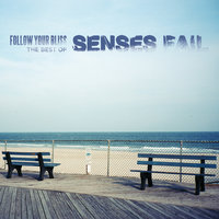 Lady in a Blue Dress - Senses Fail