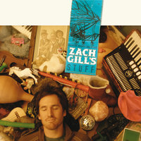 Beautiful Reason - Zach Gill