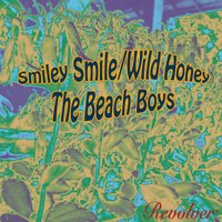 A Thing Or Two - The Beach Boys