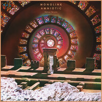 Amniotic - Monolink