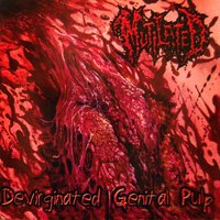 Her Spaded Anus - Mutilated