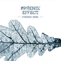 Hey You - Phoenix Effect