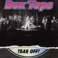 Big bird - The Box Tops