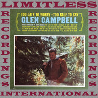 It's Been So Long Darlin' - Glen Campbell