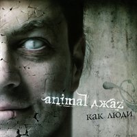 Поздно - Animal ДжаZ