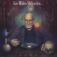 Mystery of the Constellations - In The Woods...