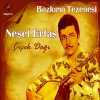 Mor Koyun - Neşet Ertaş