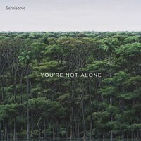 All It Would Take - Semisonic