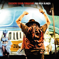Love Is All Around (Still) - Zucchero