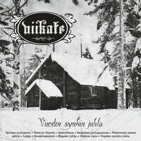 Aattoiltana - Viikate