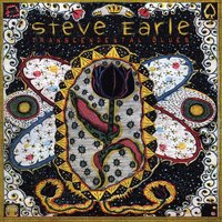 When I Fall - Steve Earle