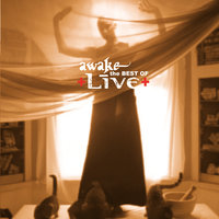 Heaven - Live