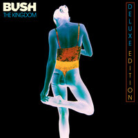 Our Time Will Come - Bush