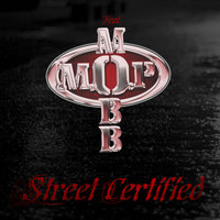 Shake Em Up - M.O.P.