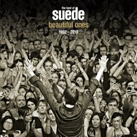 This Hollywood Life - Suede