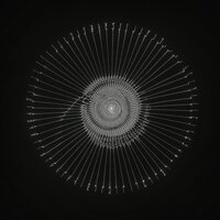 I.S.T.A.U. - The Kite String Tangle, LANKS