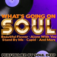 Beautiful Flower - Soul Deep