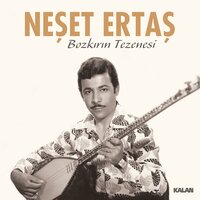 Hata Benim - Neşet Ertaş