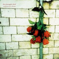 Keep Dreaming - The Pineapple Thief