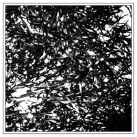 loud - clipping.