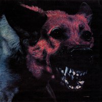 Maidenhead - Protomartyr