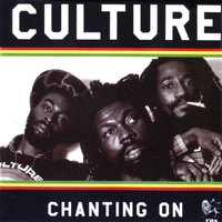 Legislation - Culture
