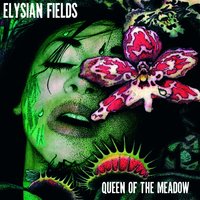 Bend Your Mind - Elysian Fields