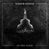 Mechanic Idolatry - Nader Sadek