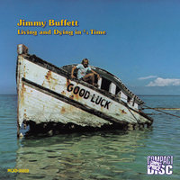Brand New Country Star - Jimmy Buffett