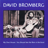 Georgia On My Mind - David Bromberg