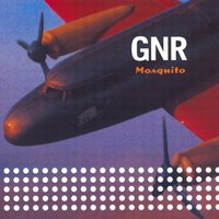 Canil - Gnr