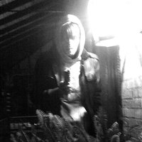 Sex Ads - Cold Cave