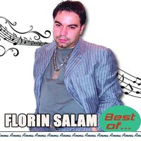 Daca Pierd in Viata Tot - Florin Salam