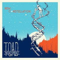 Rare Bird - Toad The Wet Sprocket