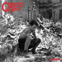 The Drone - Grief